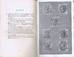 BEAUMONT-ADAMS STAMPS OF GB PART THREE D3.jpg