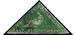 CAPE OF GOOD HOPE 1855-63 SG8 1s bright yellow-green wmk.an PROD